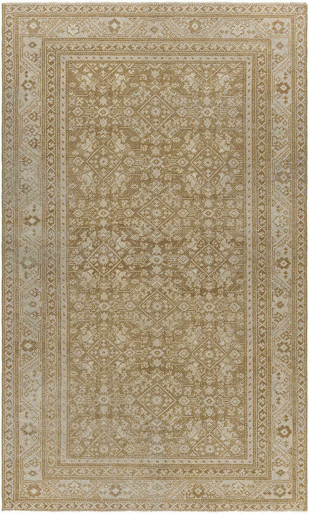 Surya Singular AOOAK-1085 4'7" x 7'9" Rug