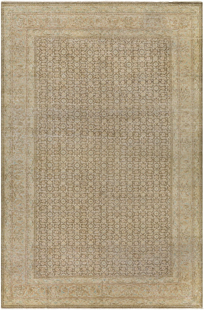 Surya Singular AOOAK-1126 6'7" x 10' Rug