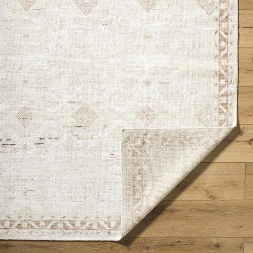 Surya Agora ARG-2300 10' x 14' Rug