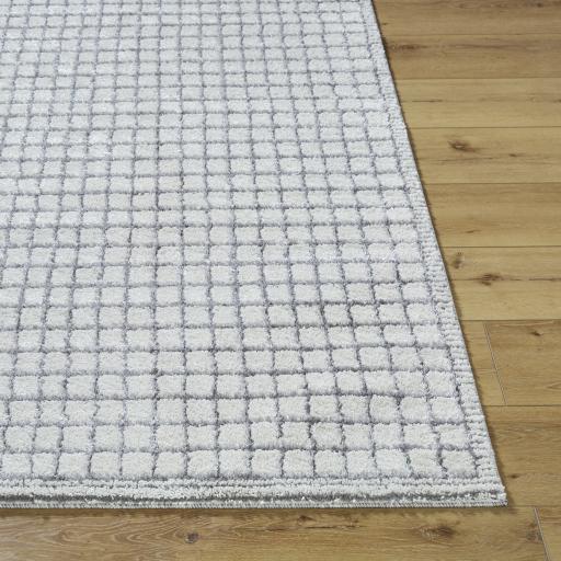 Surya Andorra Plus ARP-2309 2' x 2'11" Rug