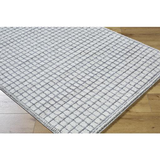 Surya Andorra Plus ARP-2309 2' x 2'11" Rug