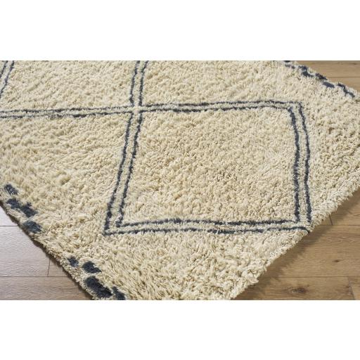 Surya Beni Moroccan BMC-2311 2' x 3' Rug