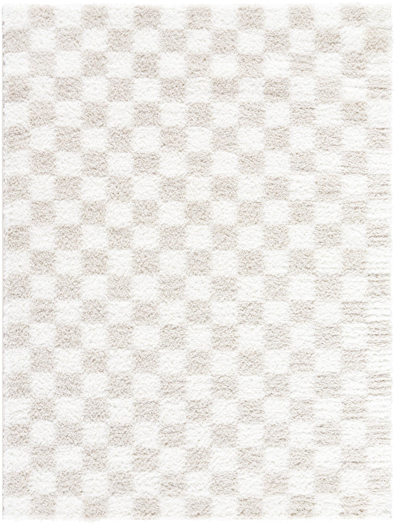 Surya Cloudy Shag CDG-2330 6'7" x 9' Rug