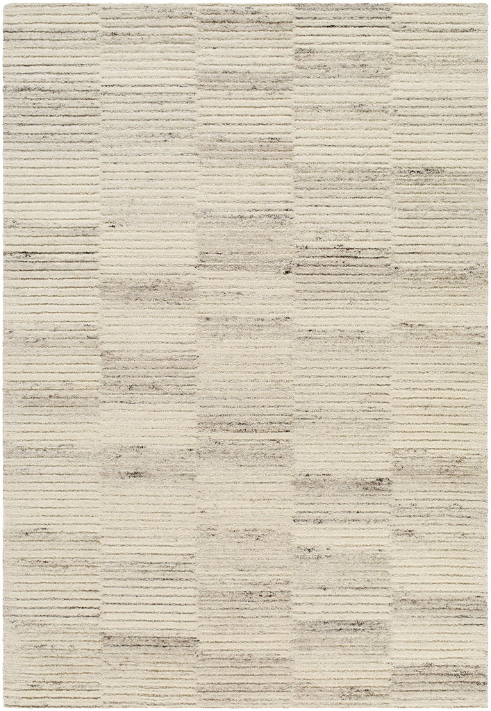 Surya Dundee DDU-2300 2' x 3' Rug