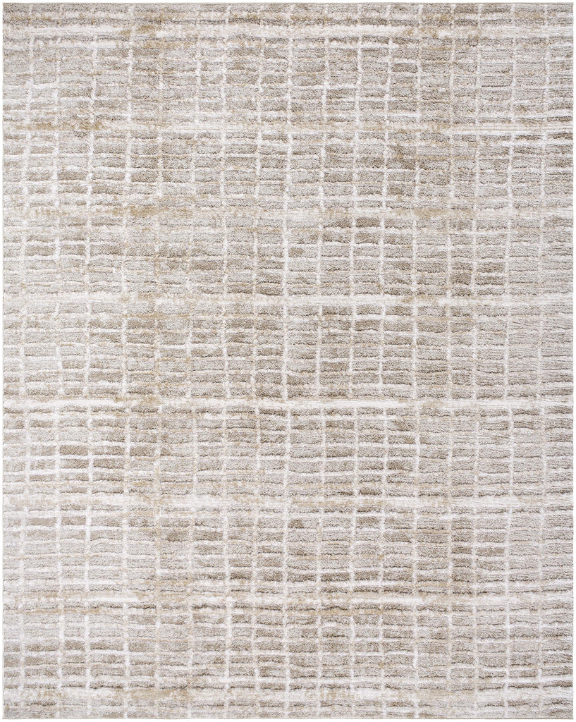 Surya Delight Shag DEL-2305 5'3" x 7' Rug