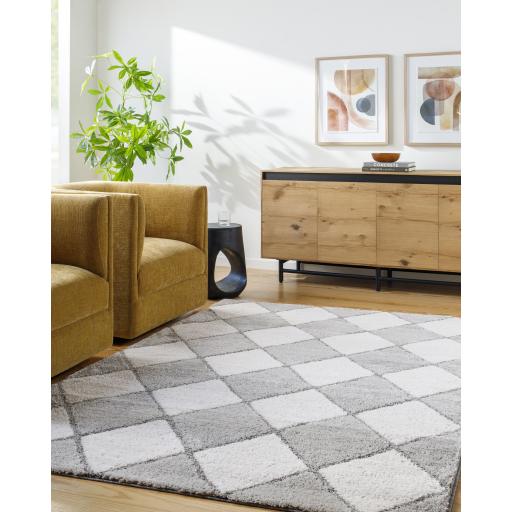 Surya Delight Shag DEL-2307 7'10" x 10' Rug