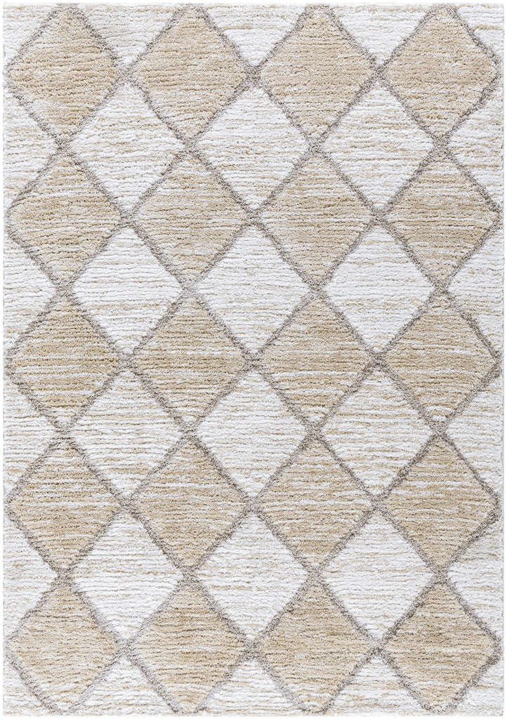 Surya Delight Shag DEL-2306 7'10" x 10' Rug