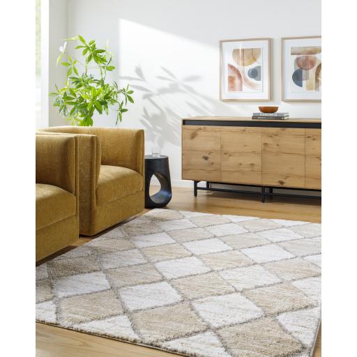 Surya Delight Shag DEL-2306 7'10" x 10' Rug