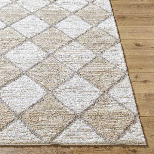 Surya Delight Shag DEL-2306 7'10" x 10' Rug