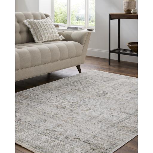 Surya Edmonton EDO-2310 2' x 2'11" Rug