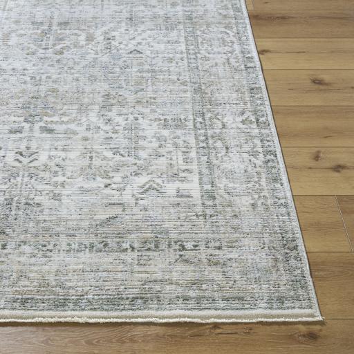 Surya Edmonton EDO-2310 2' x 2'11" Rug