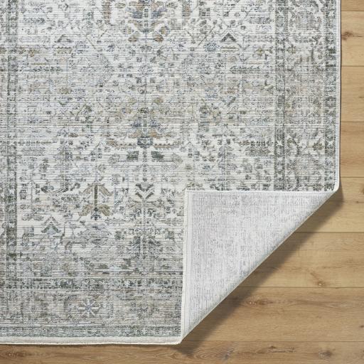 Surya Edmonton EDO-2310 2' x 2'11" Rug