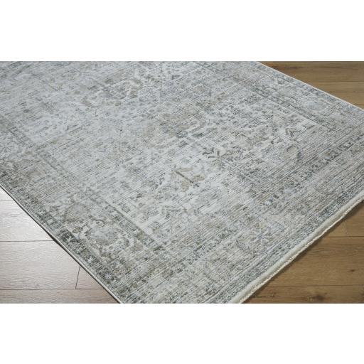 Surya Edmonton EDO-2310 2' x 2'11" Rug