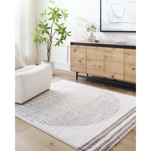 Surya Fossay Shag FSG-2305 2' x 2'11" Rug