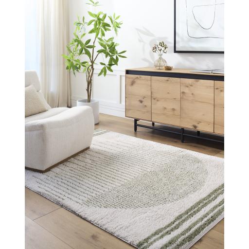 Surya Fossay Shag FSG-2307 2'7" x 7'3" Rug