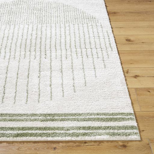 Surya Fossay Shag FSG-2307 2' x 2'11" Rug