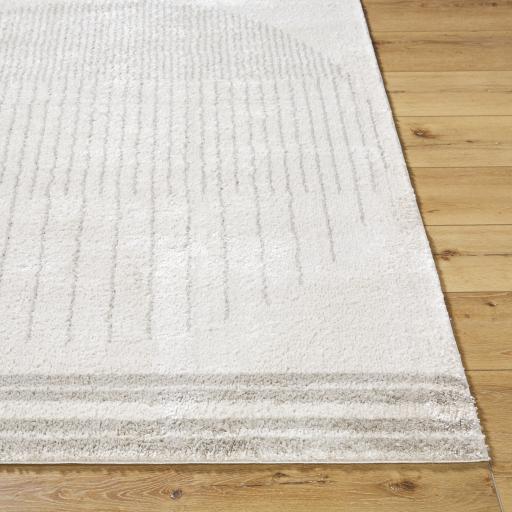 Surya Fossay Shag FSG-2309 2' x 2'11" Rug