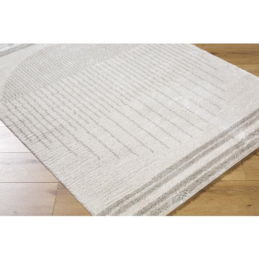 Surya Fossay Shag FSG-2309 2' x 2'11" Rug