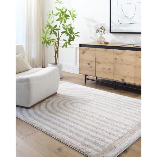 Surya Fossay Shag FSG-2311 5'3" x 7' Rug