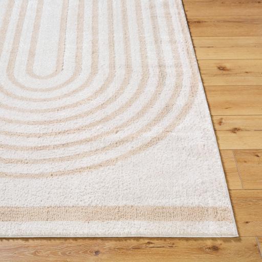 Surya Fossay Shag FSG-2311 5'3" x 7' Rug