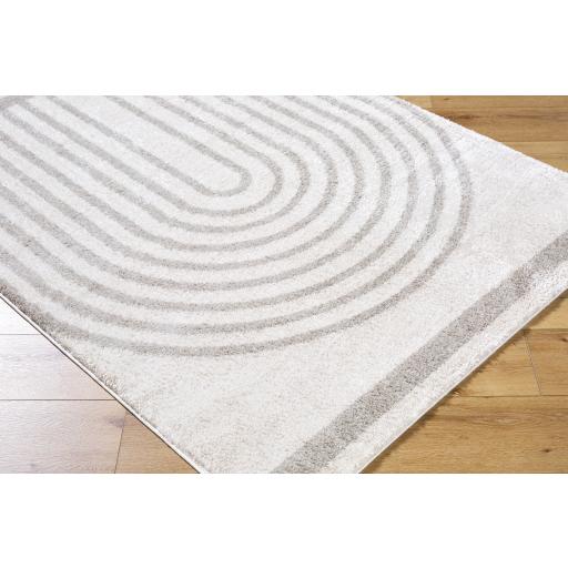 Surya Fossay Shag FSG-2313 2' x 2'11" Rug