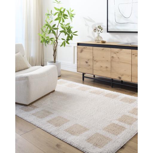 Surya Fossay Shag FSG-2314 5'3" x 7' Rug