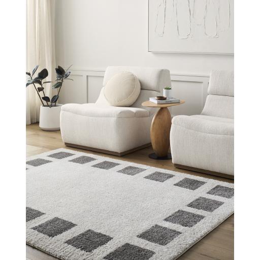 Surya Fossay Shag FSG-2316 2'7" x 7'3" Rug