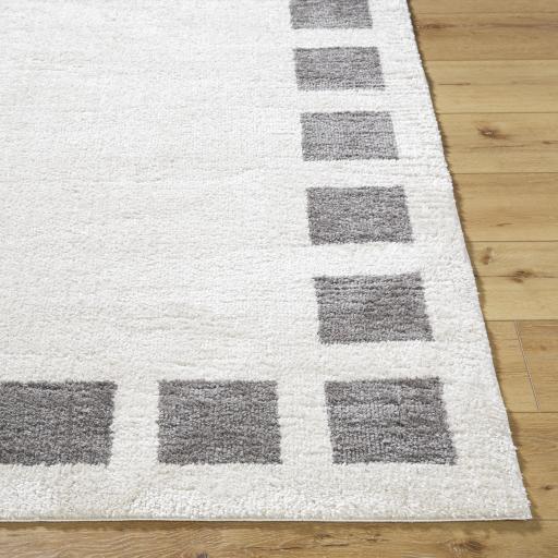 Surya Fossay Shag FSG-2316 2'7" x 7'3" Rug