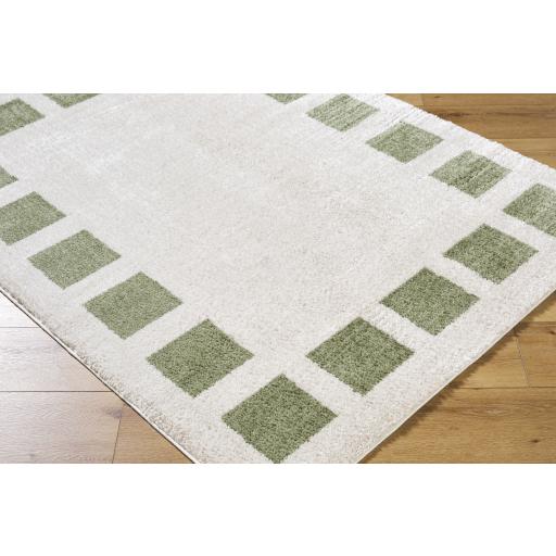 Surya Fossay Shag FSG-2315 6'7" x 9' Rug