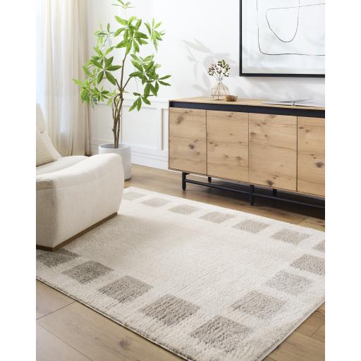 Surya Fossay Shag FSG-2317 2' x 2'11" Rug