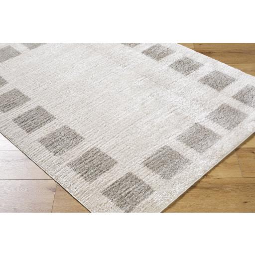 Surya Fossay Shag FSG-2317 2' x 2'11" Rug