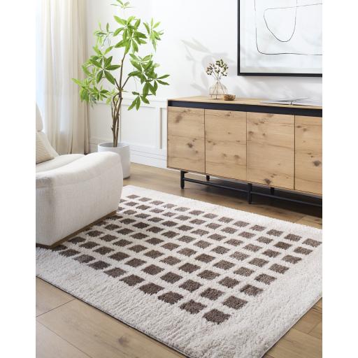 Surya Fossay Shag FSG-2318 2' x 2'11" Rug