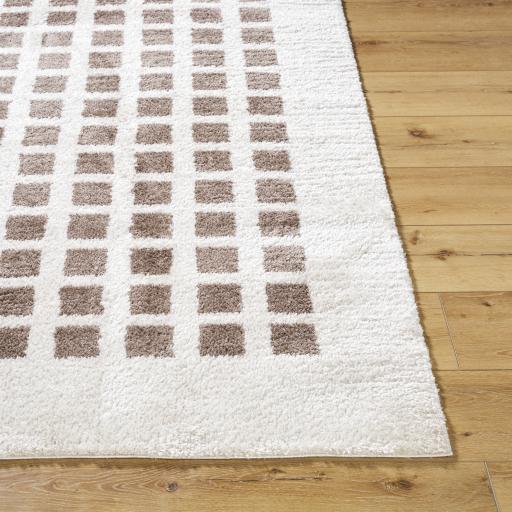 Surya Fossay Shag FSG-2318 2' x 2'11" Rug