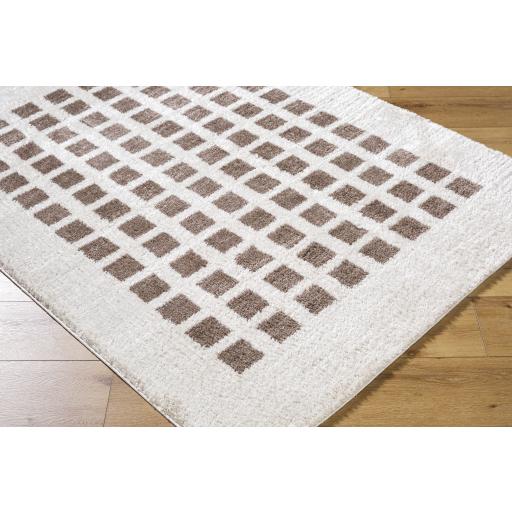 Surya Fossay Shag FSG-2318 2' x 2'11" Rug