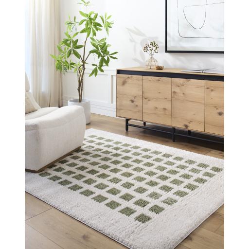 Surya Fossay Shag FSG-2320 2'7" x 7'3" Rug