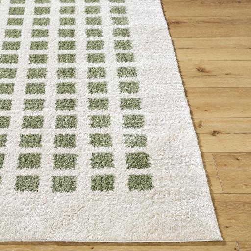 Surya Fossay Shag FSG-2320 2'7" x 7'3" Rug