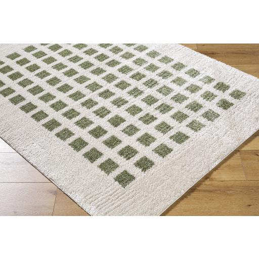 Surya Fossay Shag FSG-2320 2'7" x 7'3" Rug