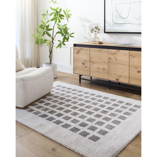 Surya Fossay Shag FSG-2321 2' x 2'11" Rug