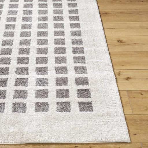 Surya Fossay Shag FSG-2321 2' x 2'11" Rug