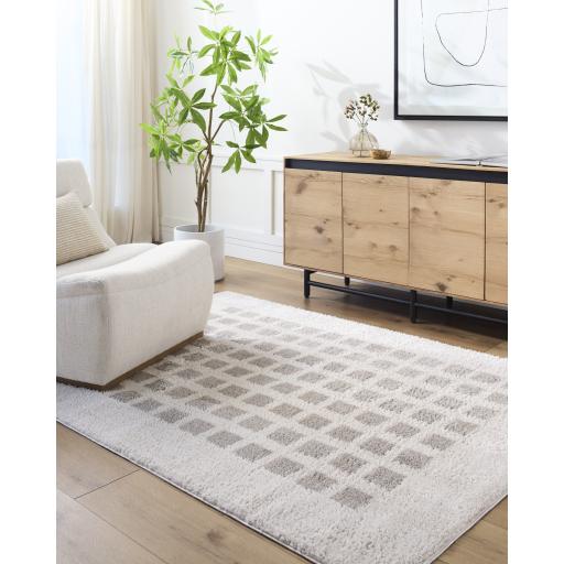 Surya Fossay Shag FSG-2322 2' x 2'11" Rug