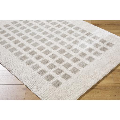 Surya Fossay Shag FSG-2322 2' x 2'11" Rug