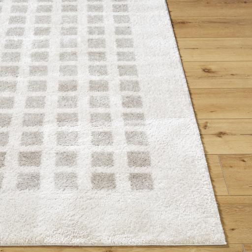 Surya Fossay Shag FSG-2322 5'3" x 7' Rug