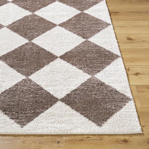 Surya Fossay Shag FSG-2323 2' x 2'11" Rug