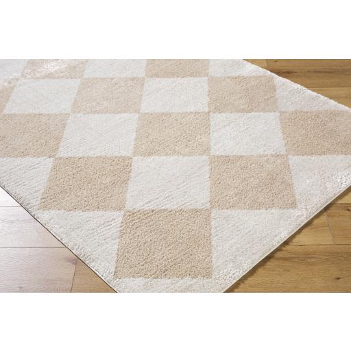 Surya Fossay Shag FSG-2324 5'3" x 7' Rug