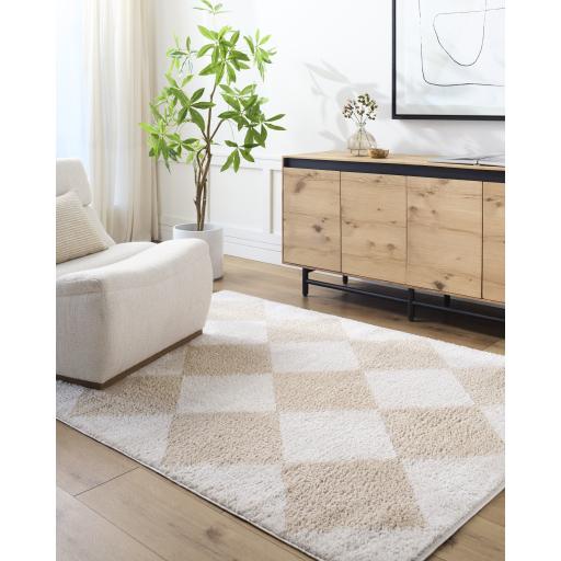 Surya Fossay Shag FSG-2324 2' x 2'11" Rug