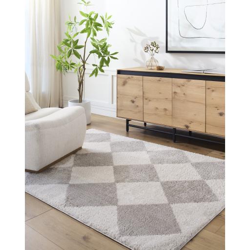 Surya Fossay Shag FSG-2327 2' x 2'11" Rug