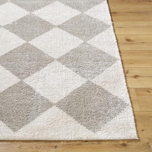 Surya Fossay Shag FSG-2327 2' x 2'11" Rug