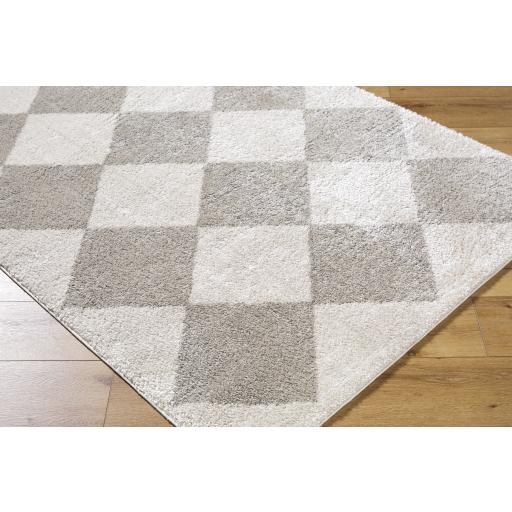 Surya Fossay Shag FSG-2327 2' x 2'11" Rug