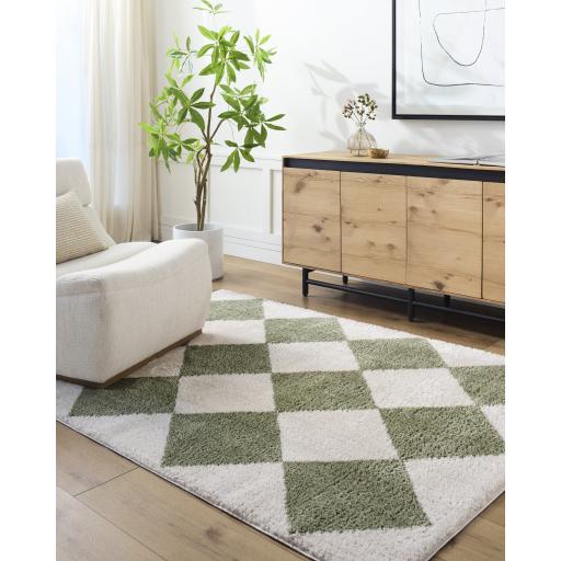 Surya Fossay Shag FSG-2325 2' x 2'11" Rug