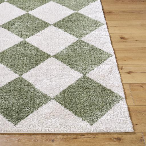 Surya Fossay Shag FSG-2325 6'7" x 9' Rug